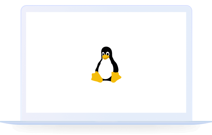 国产化Linux环境适配运行状态